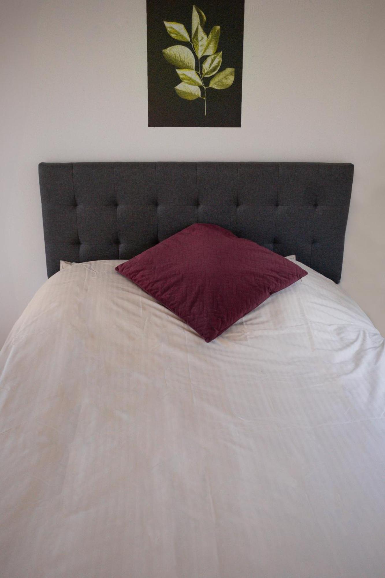 בולון-סור-מאר Spa Central Charmant Duplex Cosy 90M2 A 300M Rue Pietonne Et 500 M Du Port מראה חיצוני תמונה